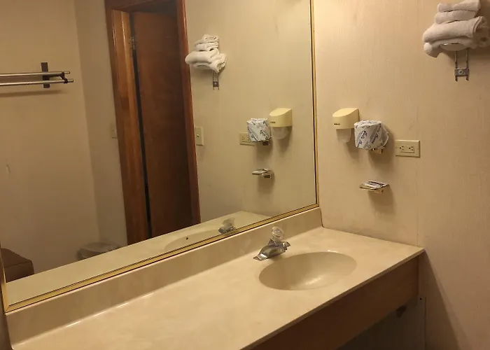 Du Wayne Hotel Carol Stream